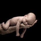 Maternity-Baby Portfolio